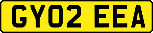GY02EEA