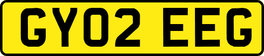 GY02EEG