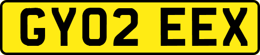 GY02EEX