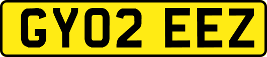GY02EEZ
