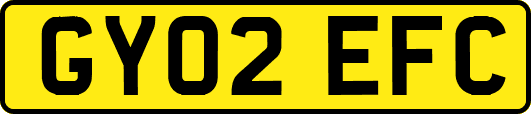 GY02EFC