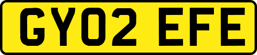 GY02EFE