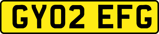 GY02EFG