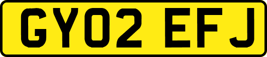GY02EFJ