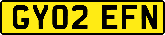 GY02EFN