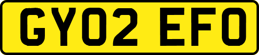 GY02EFO