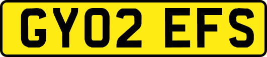 GY02EFS