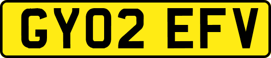 GY02EFV