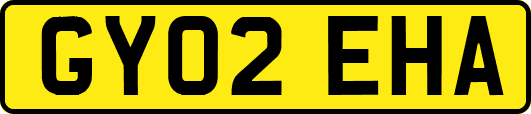 GY02EHA