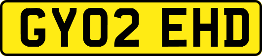 GY02EHD