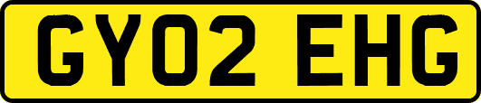 GY02EHG