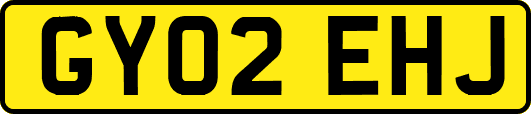 GY02EHJ