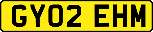 GY02EHM