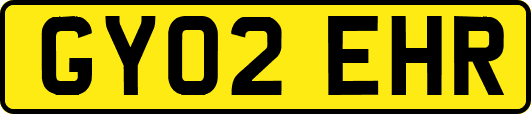 GY02EHR