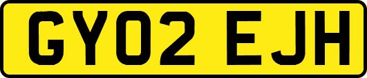 GY02EJH