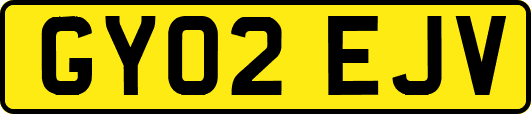 GY02EJV