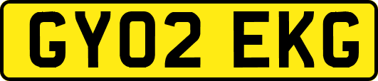 GY02EKG