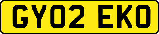 GY02EKO