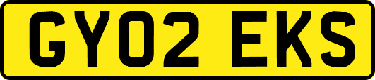 GY02EKS