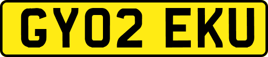 GY02EKU