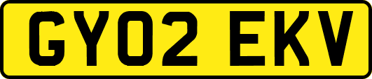 GY02EKV