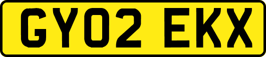 GY02EKX