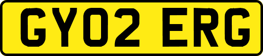 GY02ERG
