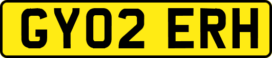 GY02ERH