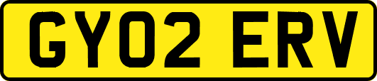 GY02ERV