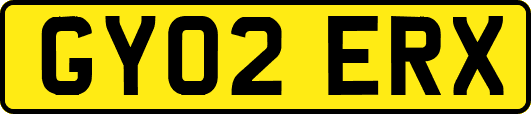 GY02ERX