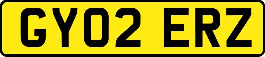 GY02ERZ