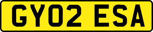 GY02ESA