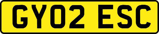 GY02ESC