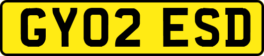 GY02ESD