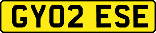 GY02ESE