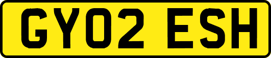 GY02ESH