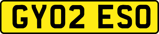 GY02ESO