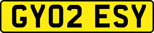 GY02ESY