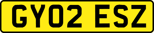 GY02ESZ