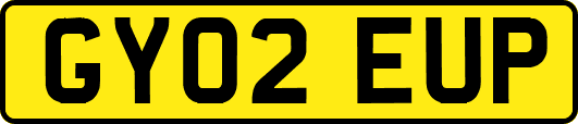 GY02EUP