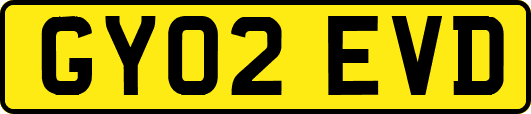 GY02EVD