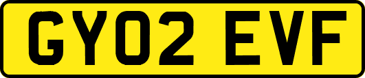 GY02EVF