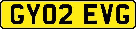 GY02EVG