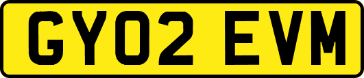 GY02EVM