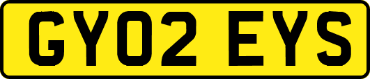 GY02EYS