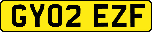 GY02EZF