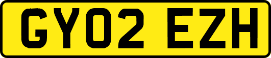 GY02EZH