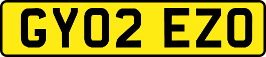 GY02EZO