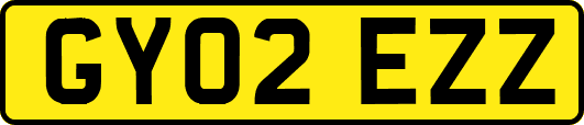 GY02EZZ