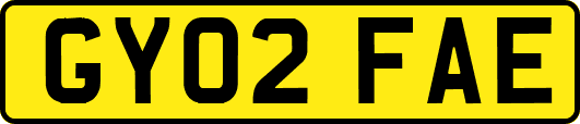 GY02FAE